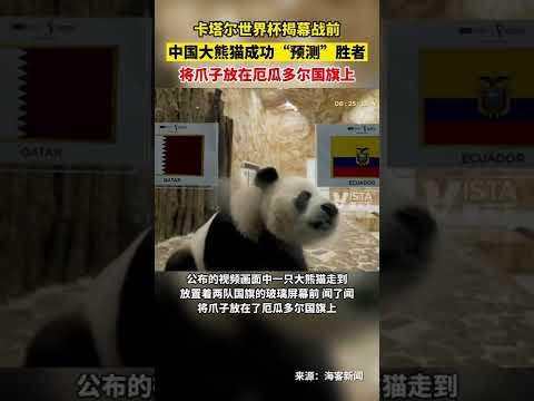 音乐疗愈神,器大揭秘,独家试玩,2026FIFA世界杯直播赛程,世界杯门票