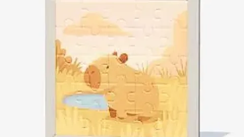 红色沙漠女性角色编辑器：专家质合分析解构预设角色限制